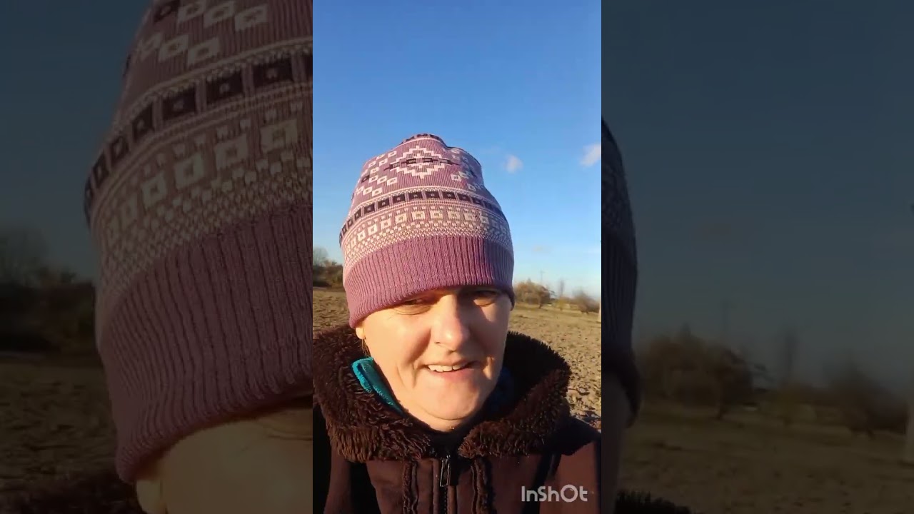Як я саджу на зиму часник.