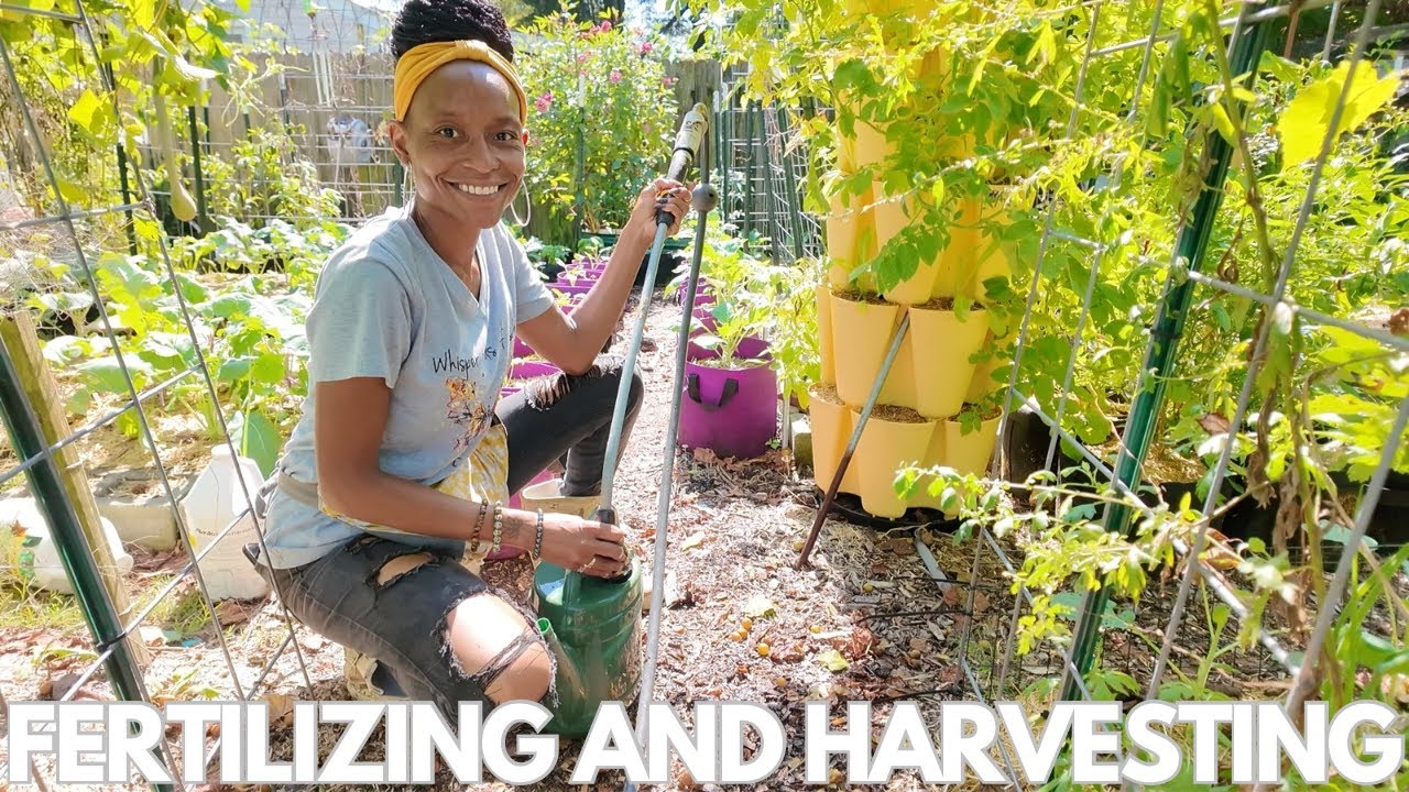 Small Homestead Tasks While I Recover | Cleaning + Fertilizing + Harvesting | (Get Me Outside)