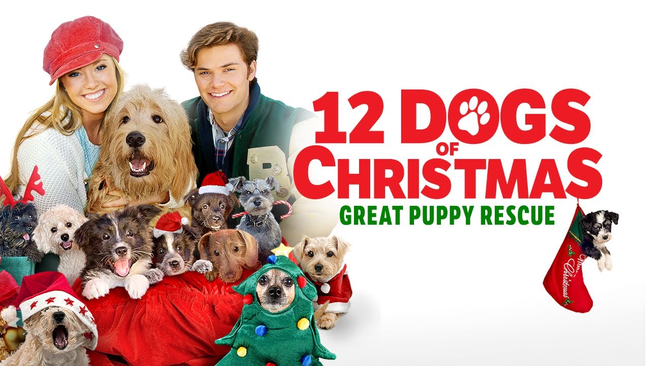 The 12 Dogs of Christmas (2004) | FULL FAMILY CHRISTMAS MOVIE | THE MOVIE ZONE