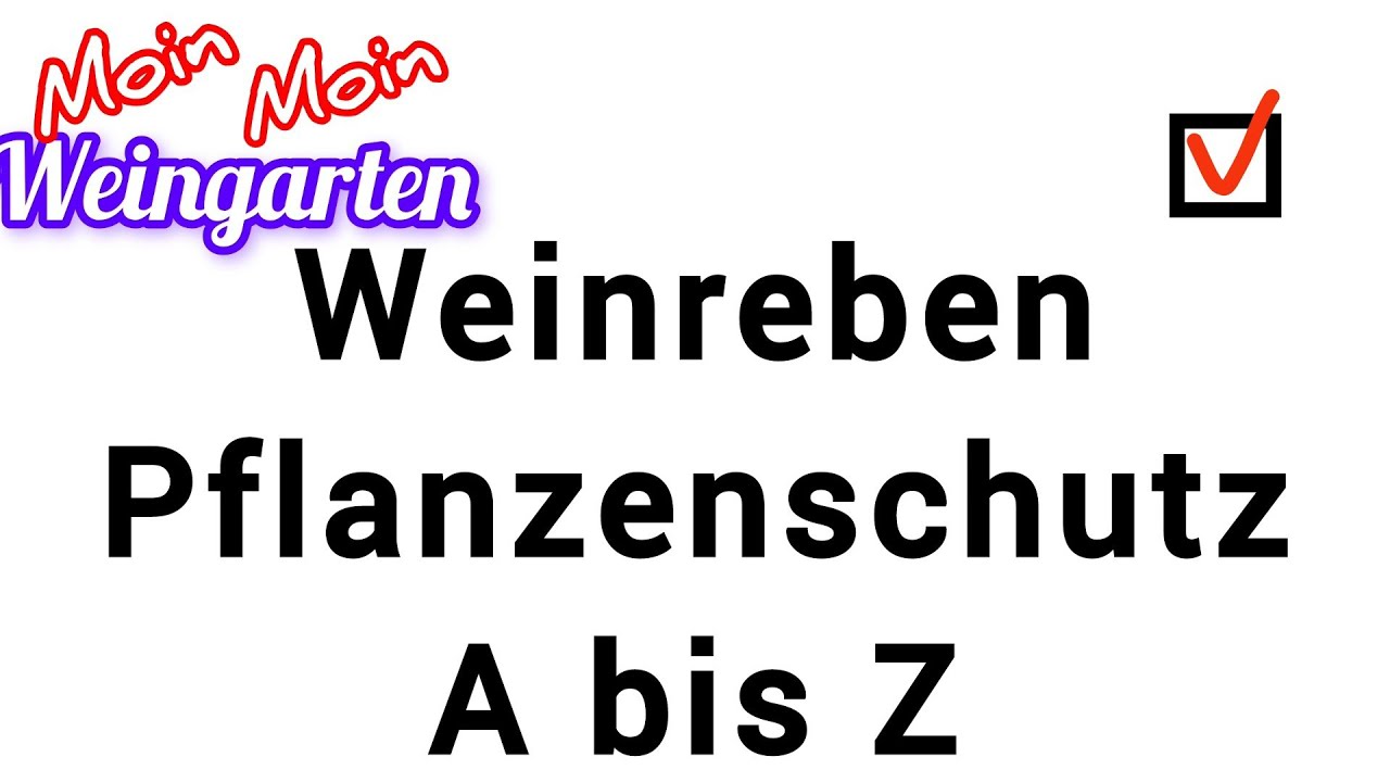 Weinrebe Pflanzenschutz A bis Z. Spitzen gegen Mehltau