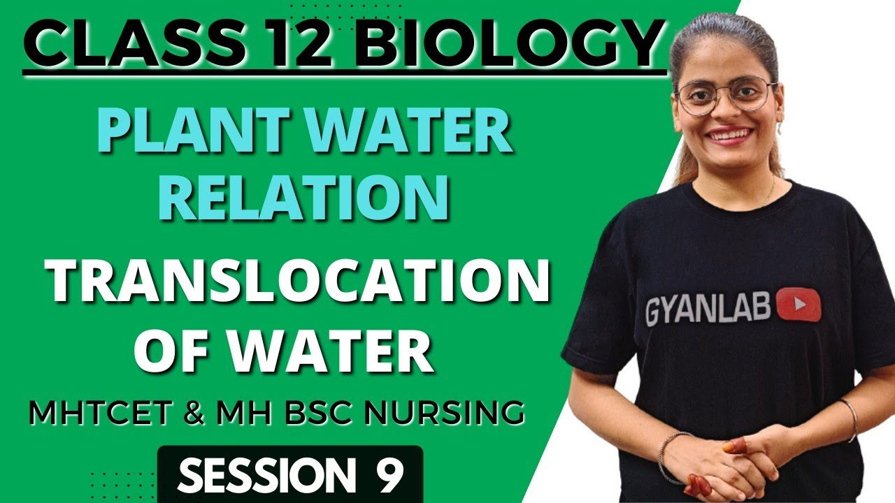 Class 12 | Plant Water Relation | Translocation of Water | Gyanlab | Anjali Patel
