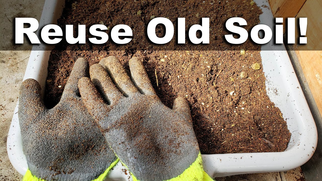 How To Reuse Old Potting Soil - FOUR ways!