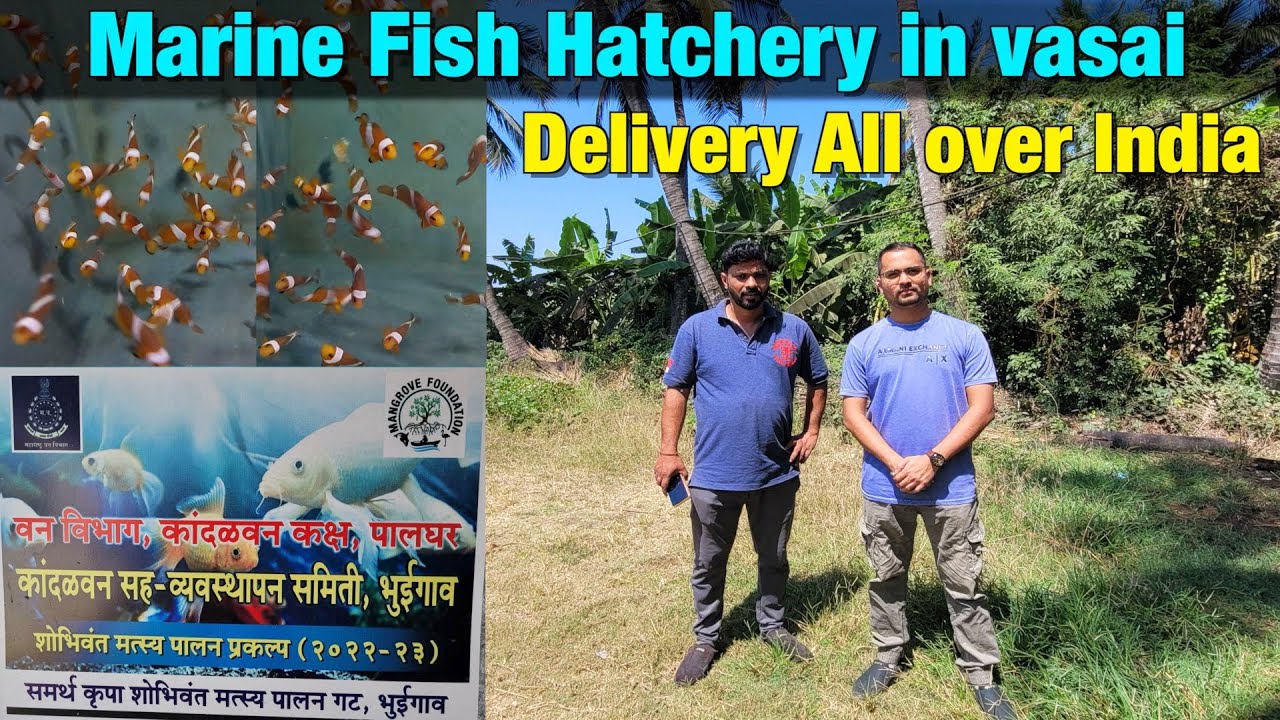 Marine Fish Hatchery in Vasai | Only Marine fish hatchery in Palghar I Delivery All Over India