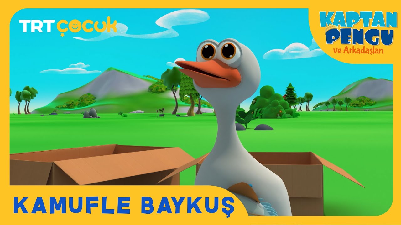 Kaptan Pengu ve Arkadaşları | Kamufle Baykuş