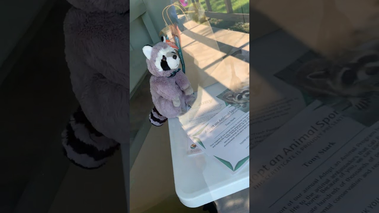 Family Fun Zoo Adventures: Busch Wildlife Sanctuary Full Tour Jupiter Fl