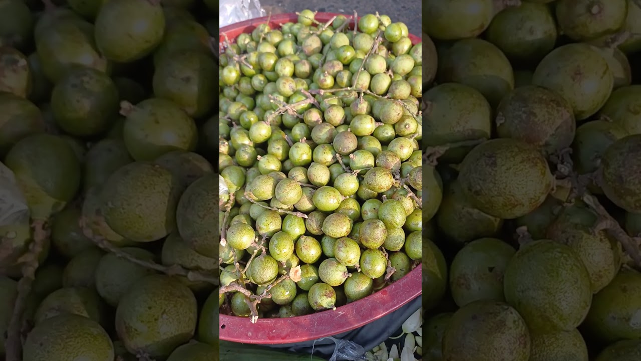 MAMONES SALVADORE&Ntilde;OS