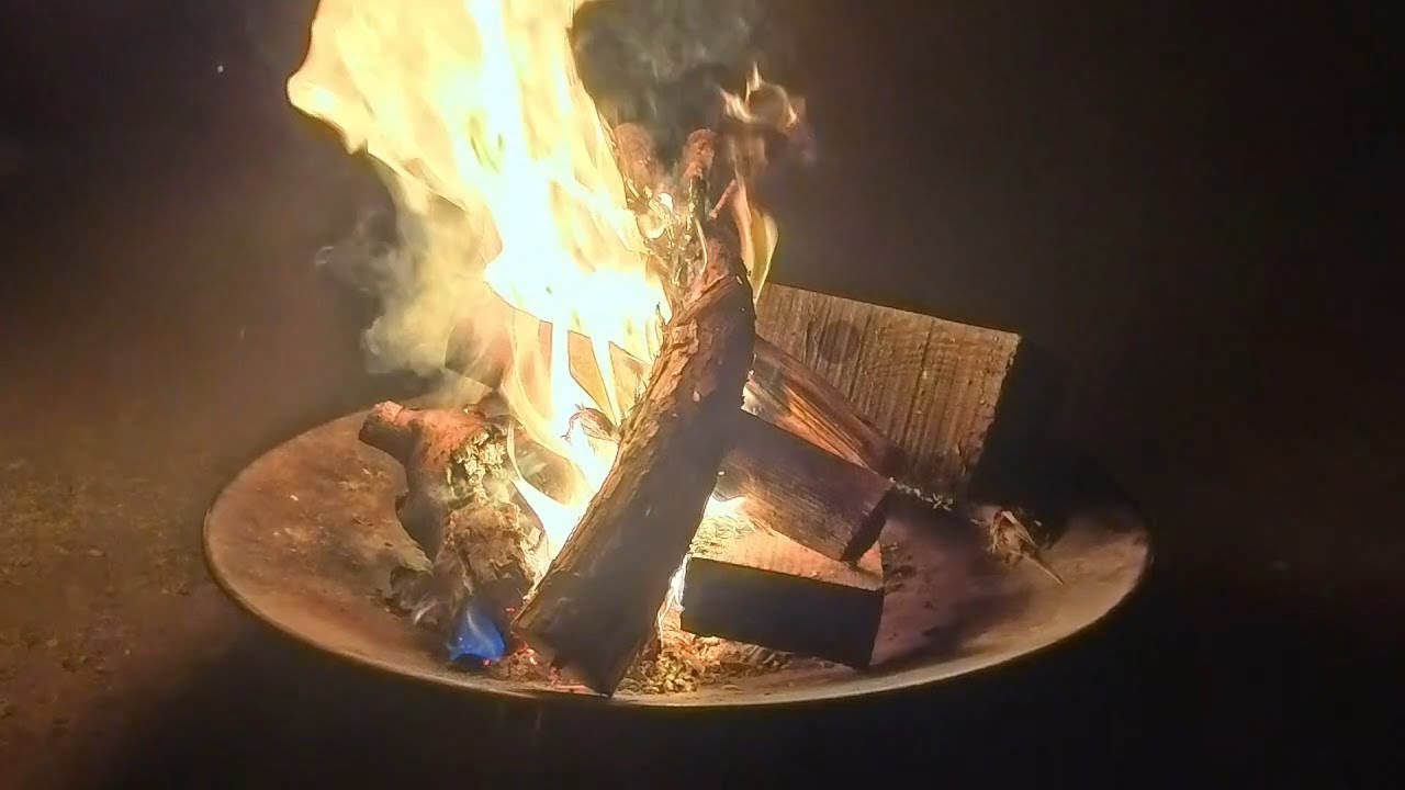 森の中の焚火🔥パチパチ音｜睡眠・作業・瞑想用