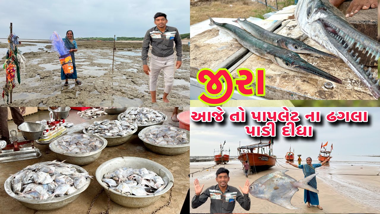 ટીટમ ના જાળ દરીયા મા બાંધવા ગયા 🥅🦞 jira fishing 🎣 dariyai khedut@desirasoikathiyawadi 
