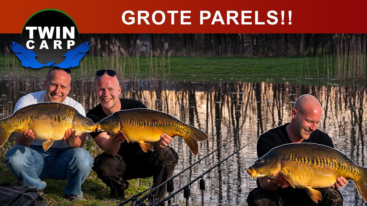 BIZARRE KARPER GROEI in ACHTERTUIN!