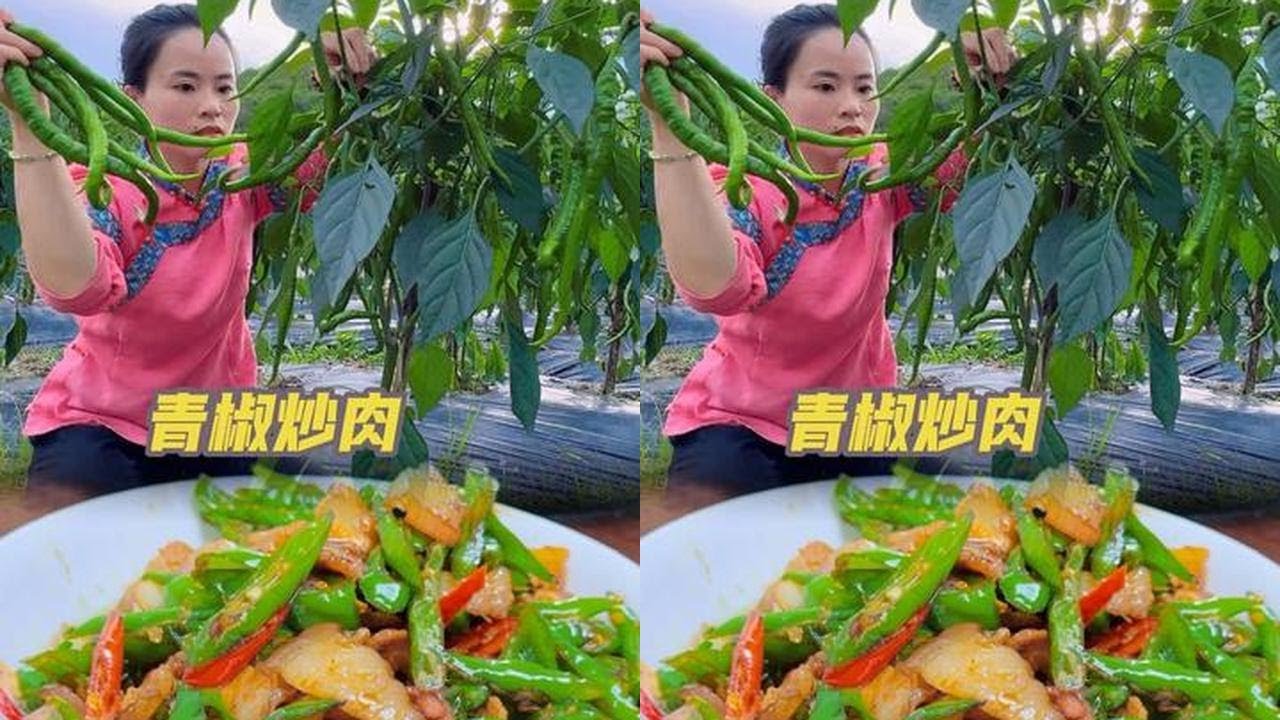 摘不完的辣椒 吃不完的辣椒如果厌倦了城里的生活那就回农村吧 辣椒管饱#辣椒 #辣椒炒肉 #青椒 #乡村生活