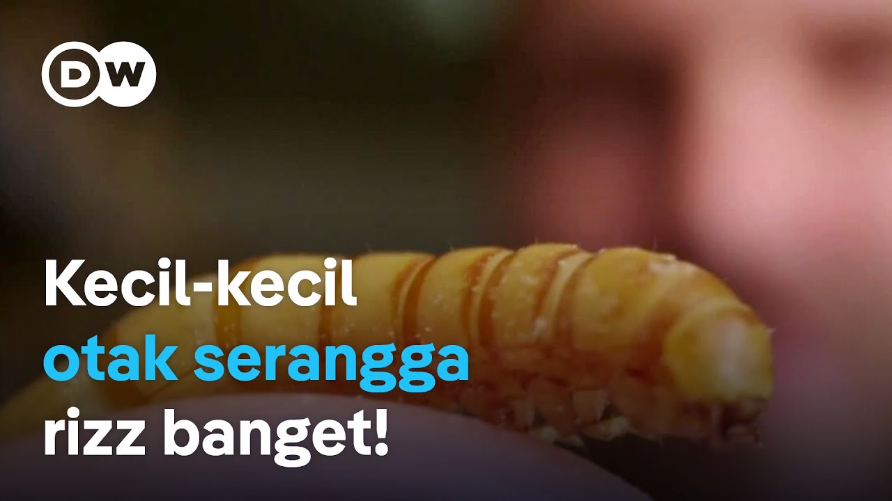 Secerdas apa serangga? Kenali kepintaran menakjubkan lebah, tawon dan serangga lain | DW Dokumenter