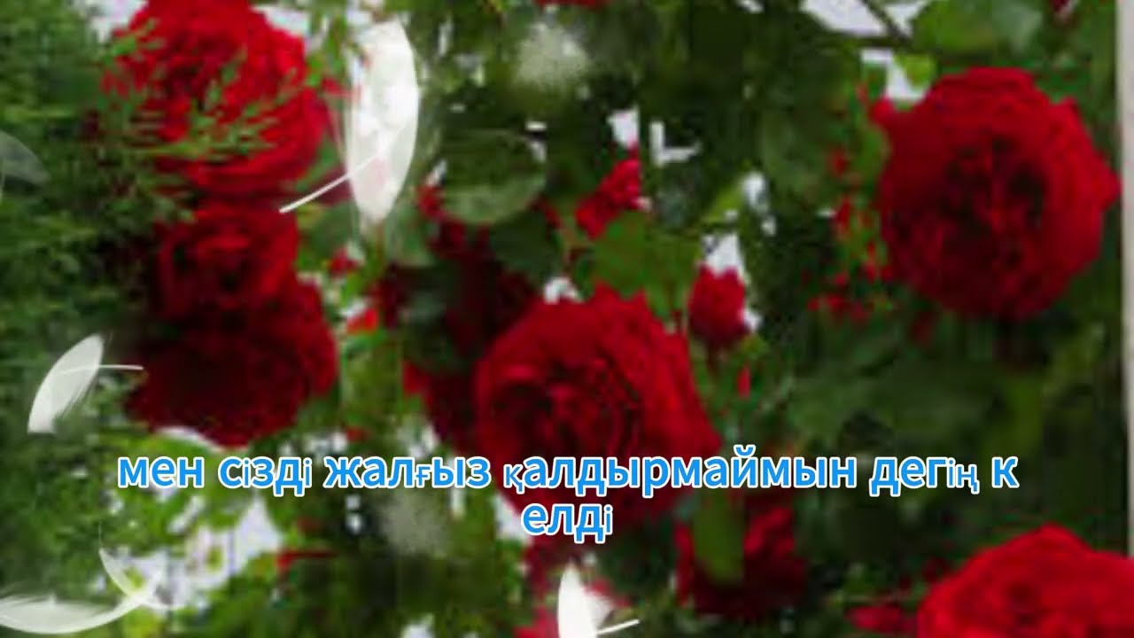 Өзімен жас айырмасы бар әйелмен өткен түн: сезім мен тосын сый