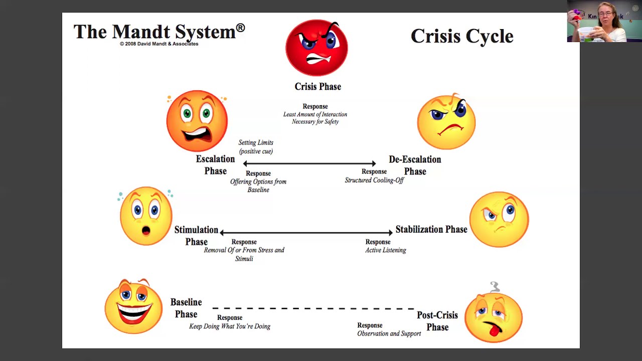Brain States & Crisis Cycle Overview with Debbie Mondale