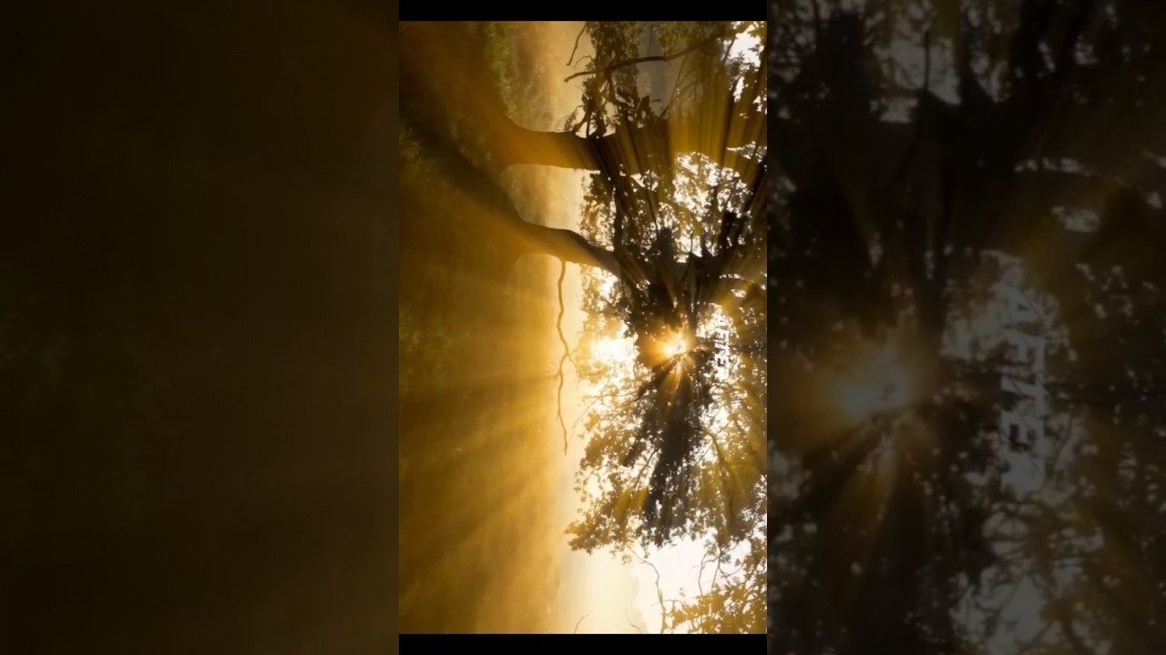 Sun ray effect tutorial- Application name:- Node video editor #edit #edits #editing #tutorial #reels
