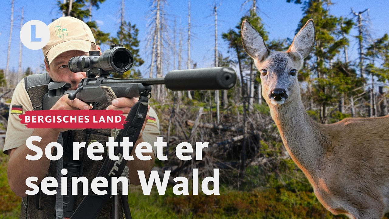 Ungewöhnlicher Weg zur Aufforstung nach Borkenkäfer-Befall | WDR Lokalzeit LandSchafft