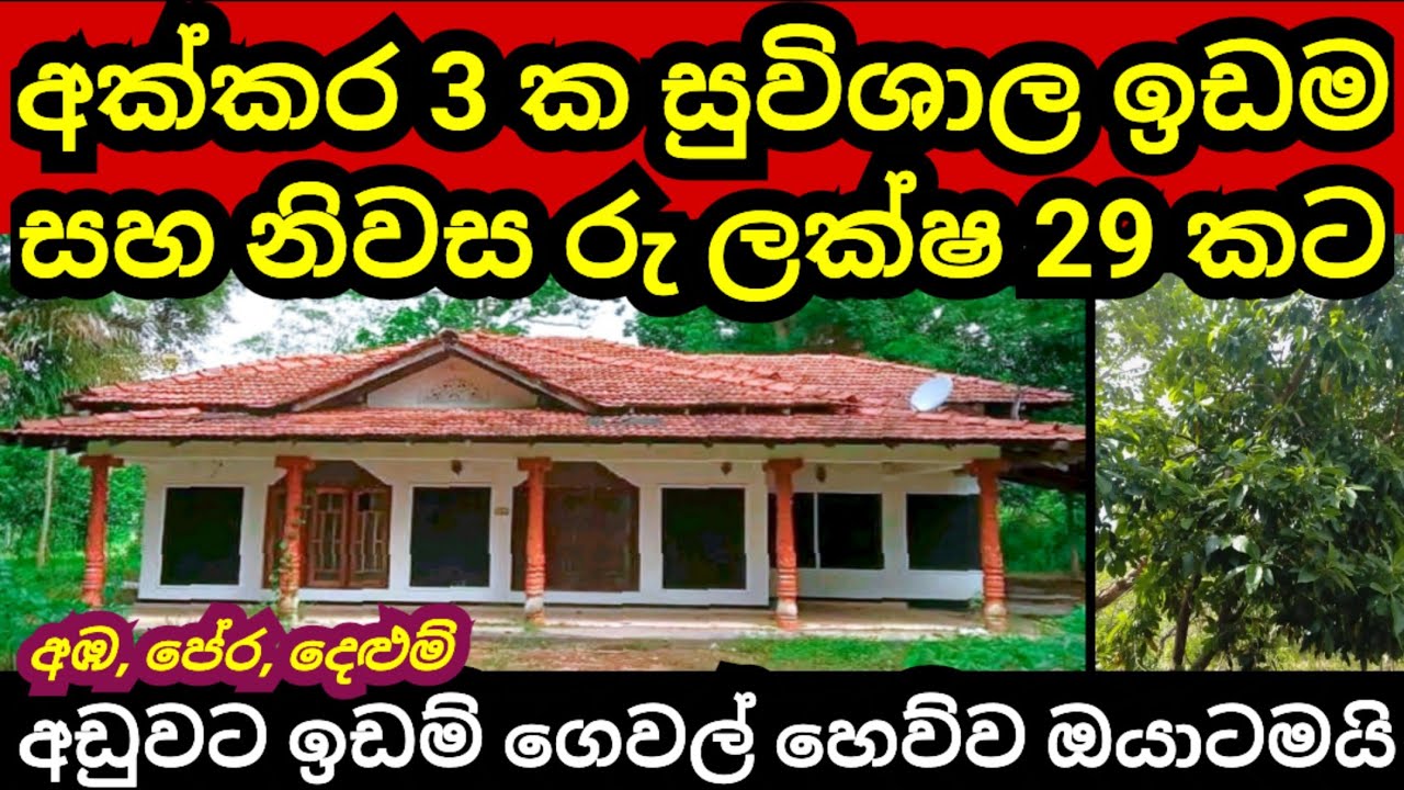 අක්කර 3 ක විශාල ඉඩම හා නිවස ලක්ෂ 29 කට | Land for sale in sri lanka | Aduwata idam | House for sale