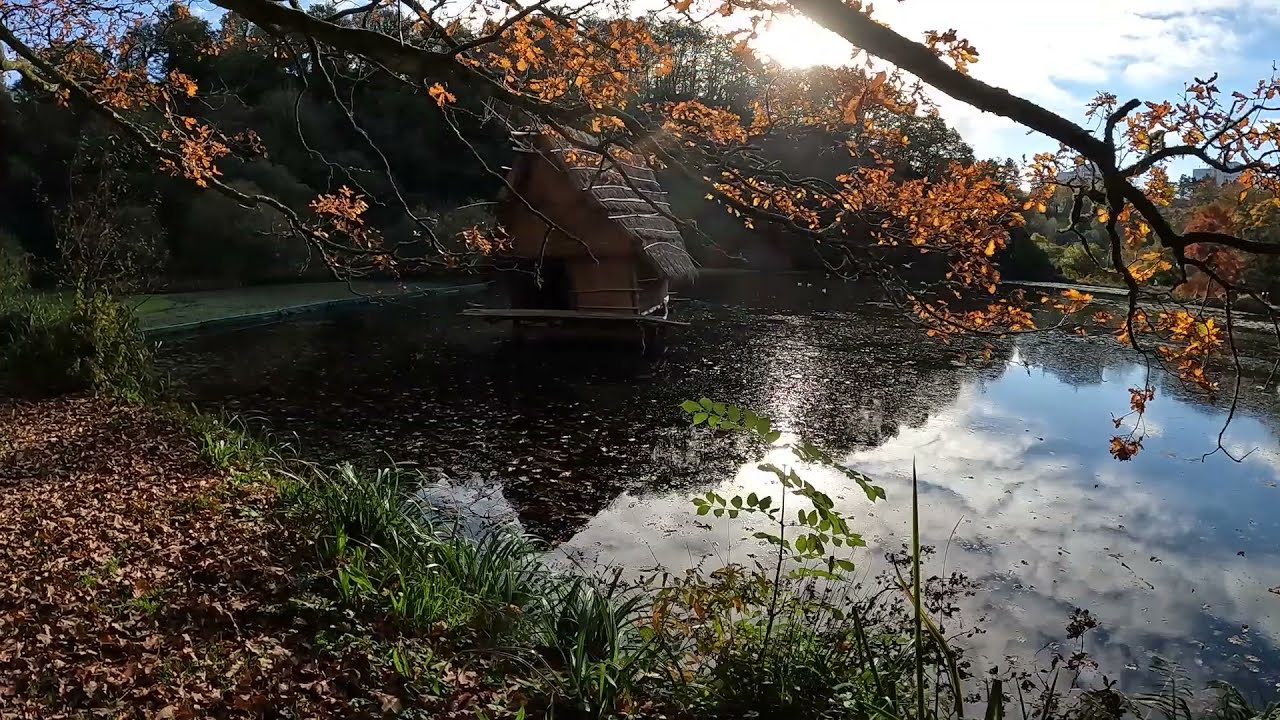 Le Vallon du Stang Alar , Brest