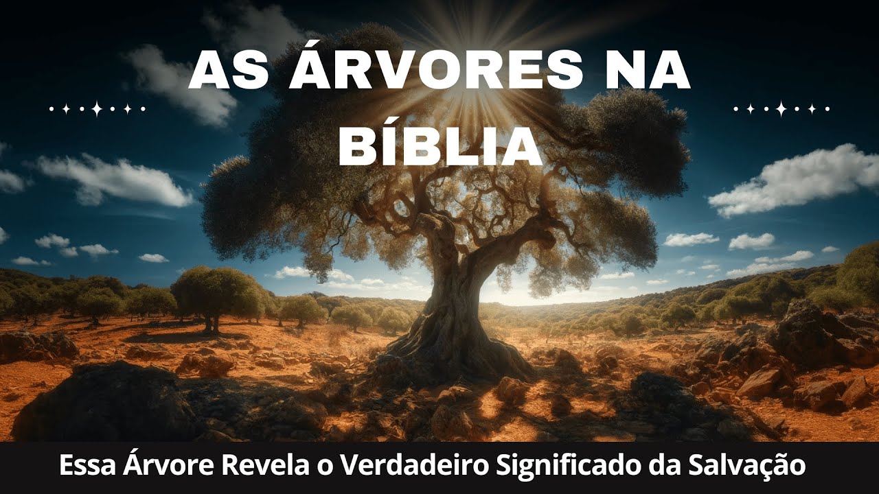 39. Zambujeiro: Uma &Aacute;rvore de Transforma&ccedil;&atilde;o e Esperan&ccedil;a