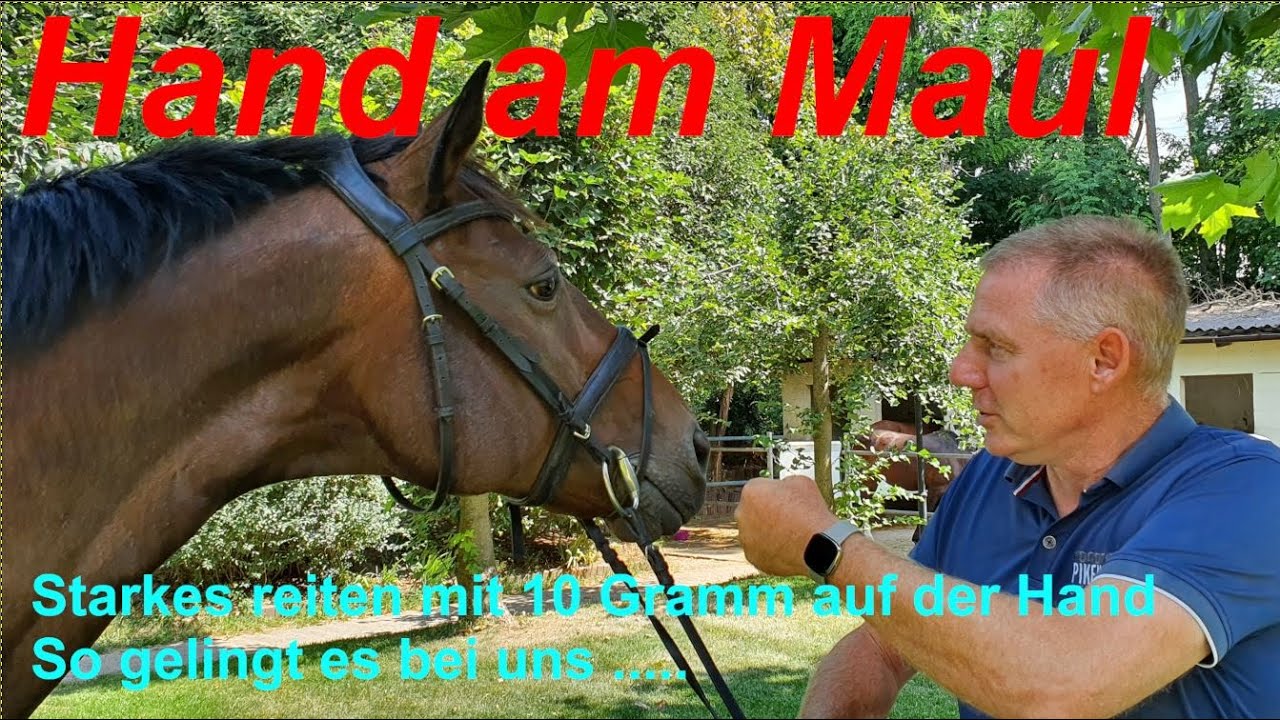 Reiten lernen - Die lockere Hand am Pferdemaul - So kann es gelingen - Einer von wenigen Wegen.