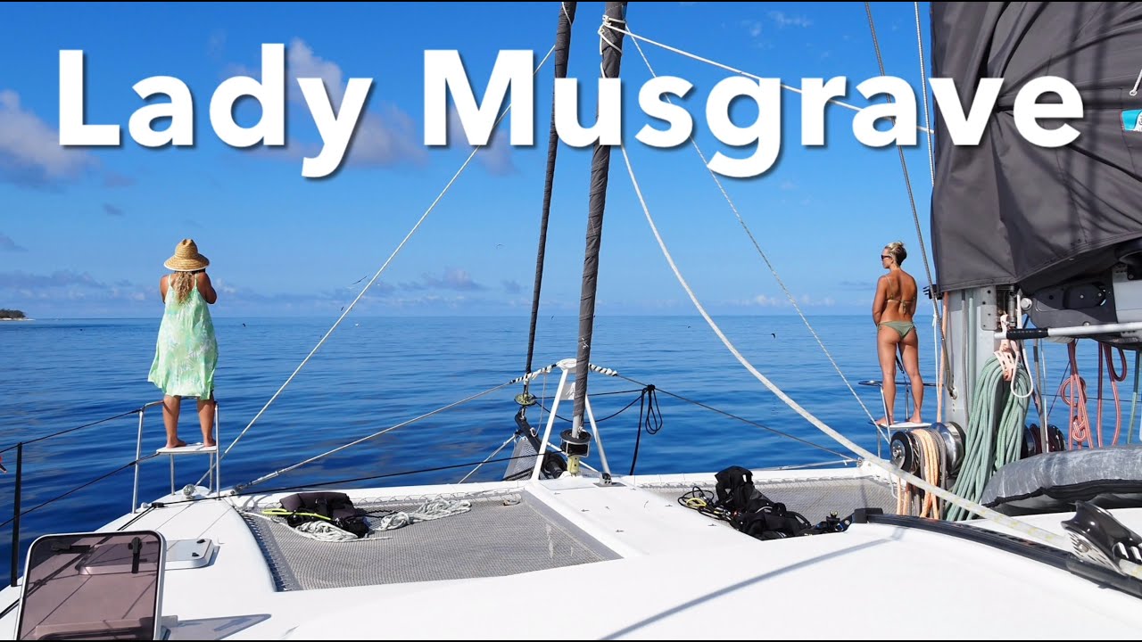 Lady Musgrave, Massive Tiger shark, Mantas, Turtles, Turtles