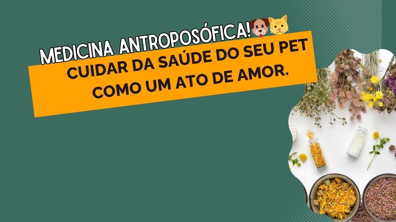 💖 Porque cuidar da saúde do seu pet é um ato de amor que vai além do físico.