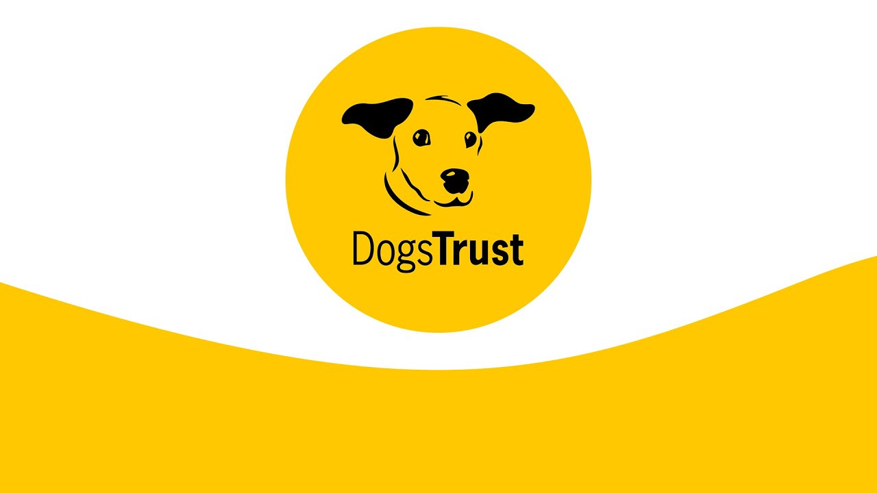 Dogs Trust Live Tour 16.04.2021