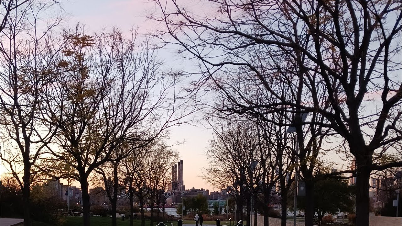 happy Thanksgiving. عيد الشكر