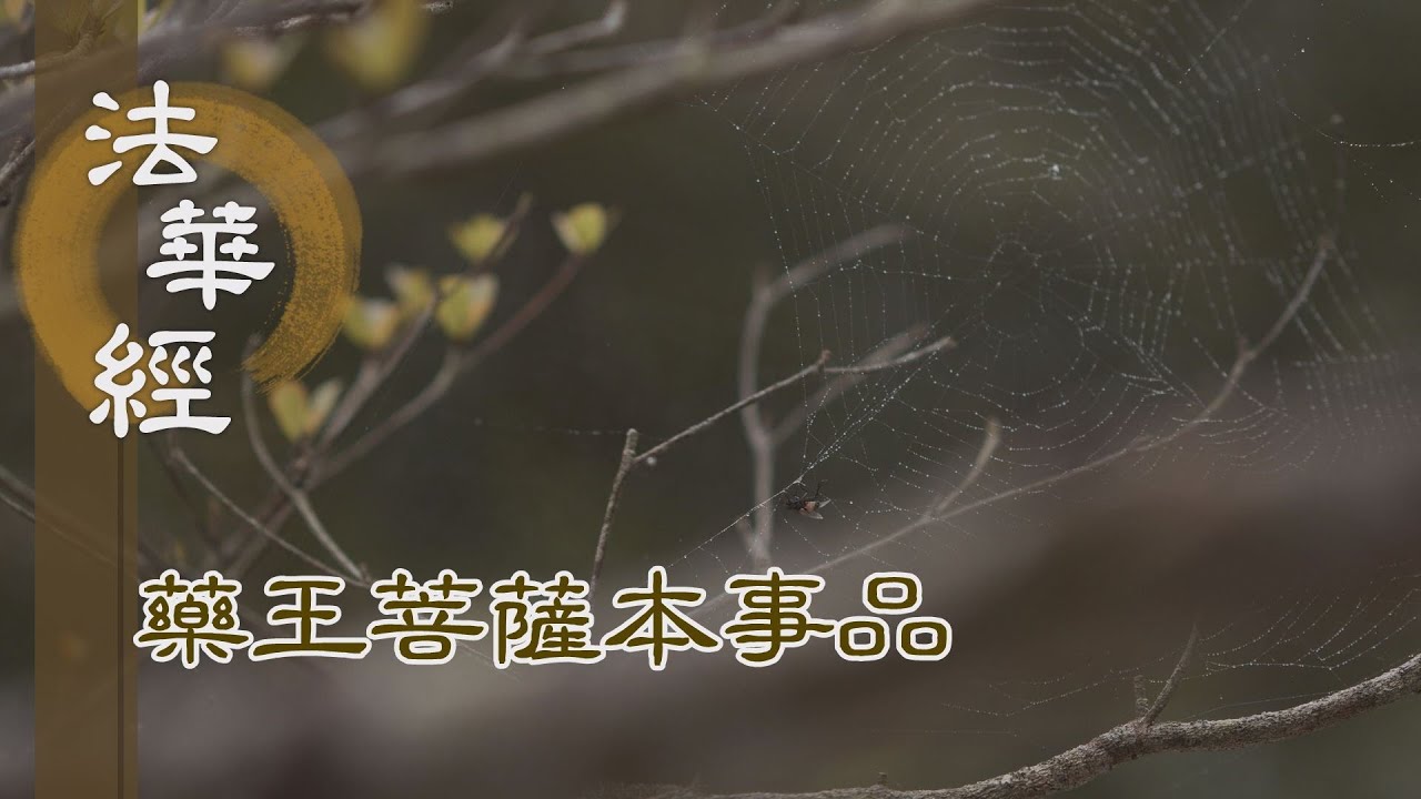 【靜思妙蓮華】 法華經 藥王菩薩本事品 - 悟色性空 不生貪著 - 第1863集 20250131