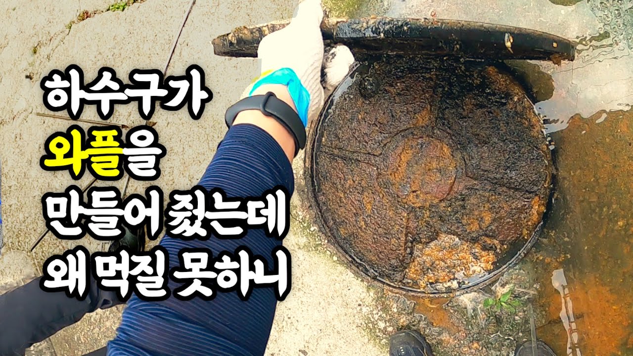 하수구가 와플을 만들수밖에 없었던 이유 - 1부