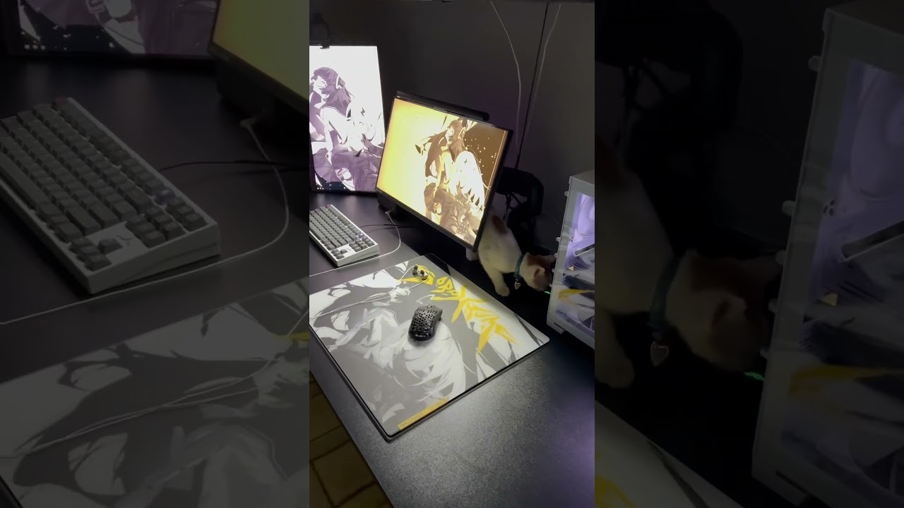 #tech #techtok #setup #glasspad #skypad #sp004 #wallhack #desksetup#GamingSetup #pc #fyp #glasshead