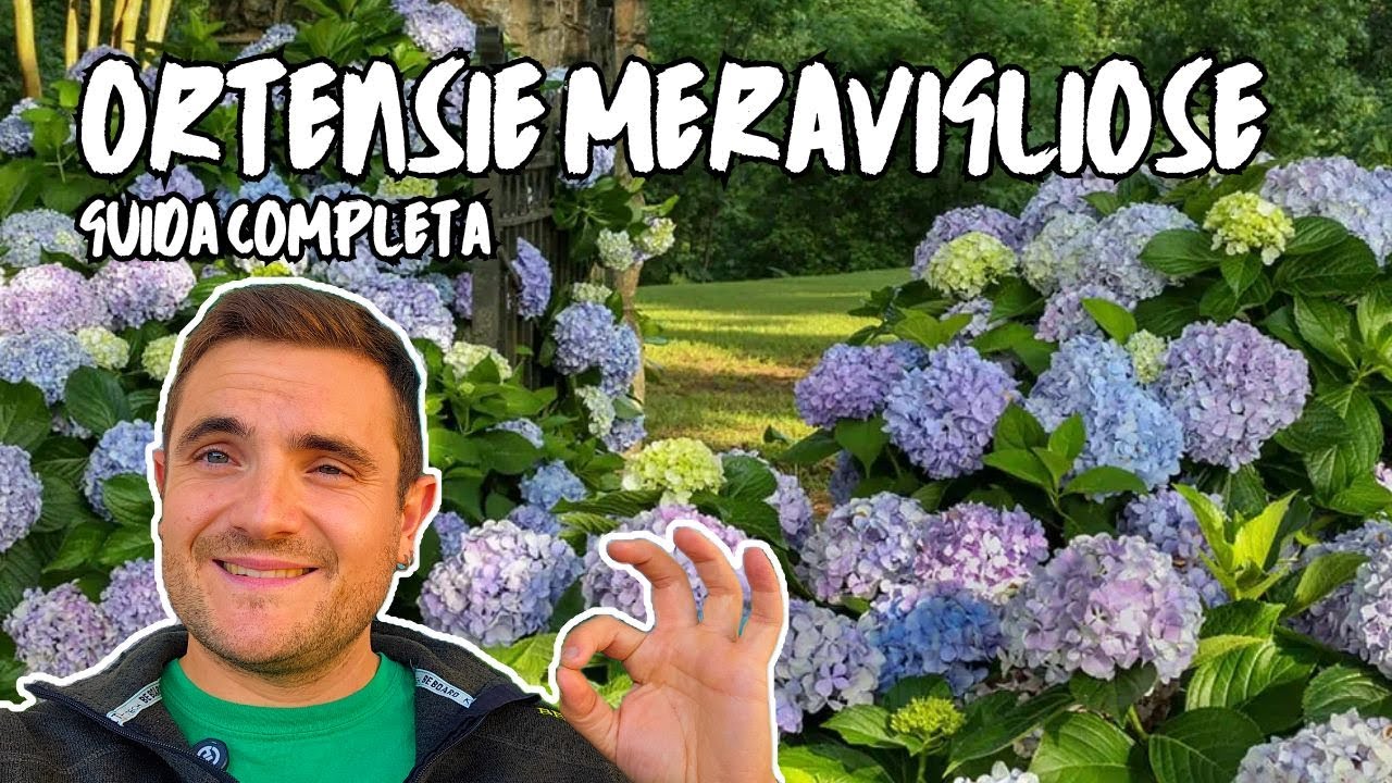 Ortensie facili dalla A alla Z coltivarle e moltiplicarle con successo