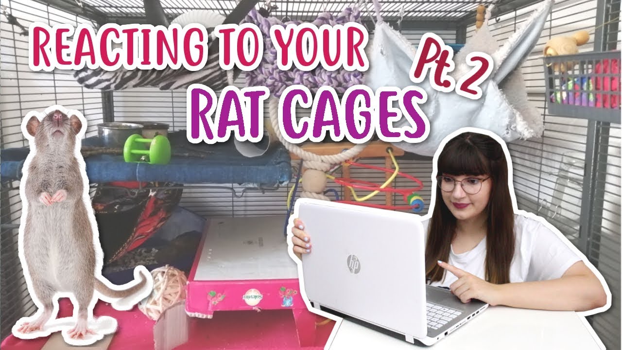 REACTING TO MY SUBSCRIBERS RAT CAGES pt. 2
