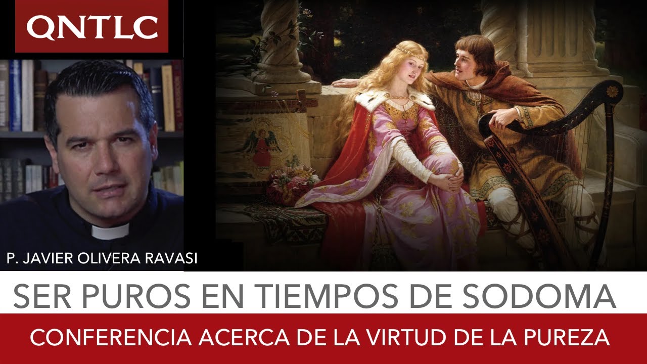 Educar en tiempos de Sodoma. P. Javier Olivera Ravasi, SE