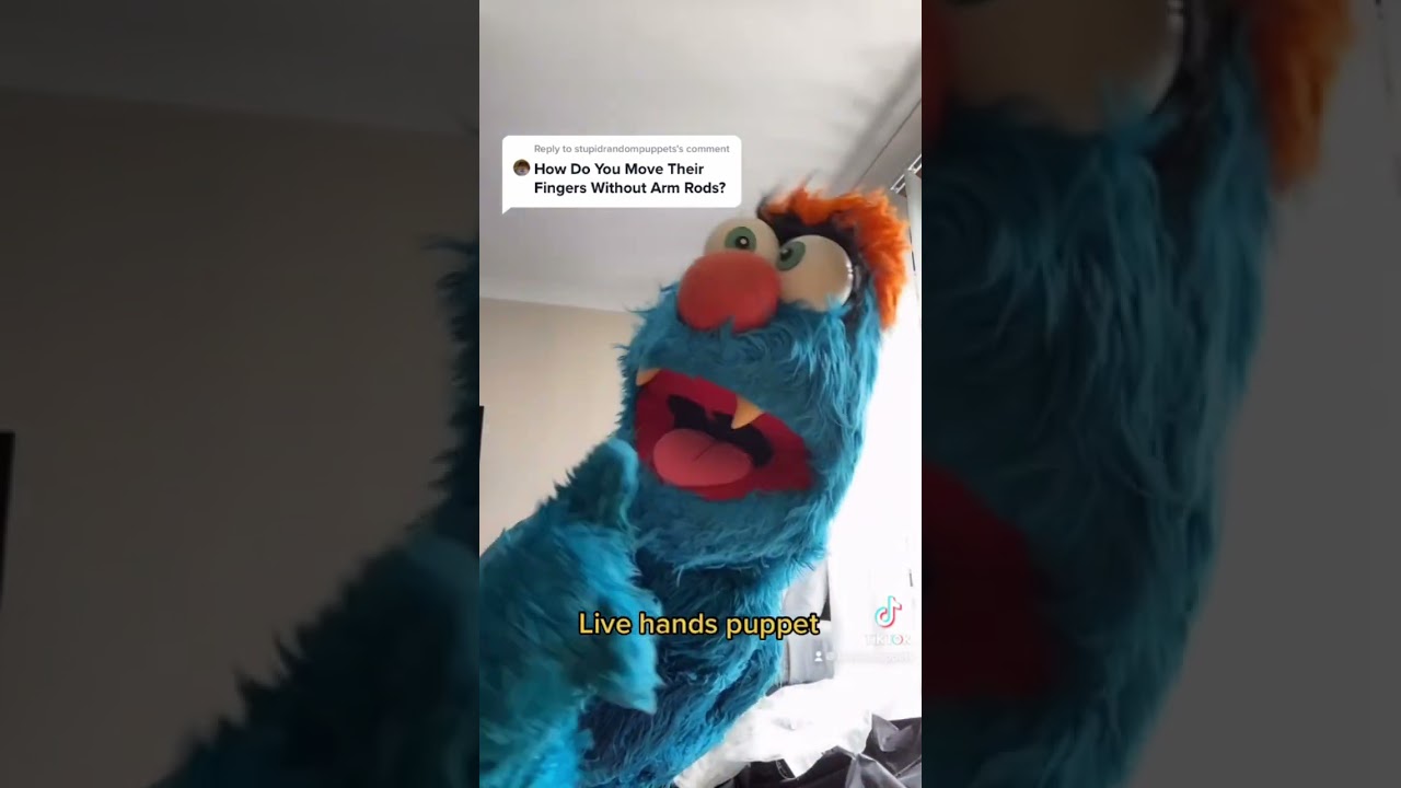 Live Hands Puppets