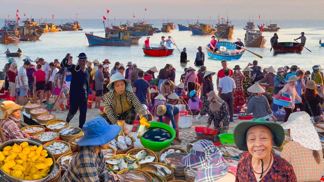 Bến Cá Tam Tiến Đông Nhất Quảng Nam Cũ║Ngon Lạ Món Mít Hông Tam Kỳ