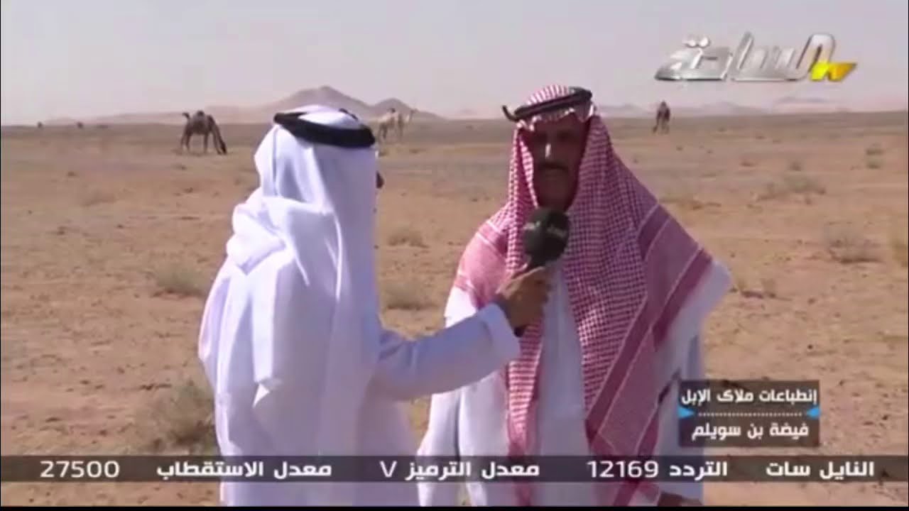 لقاء قناة الساحة مع الشيخ سلمان بن محمد ابن سويلم شيخ قبيلة الغضاوره من عنزه  في فيضة بن سويلم