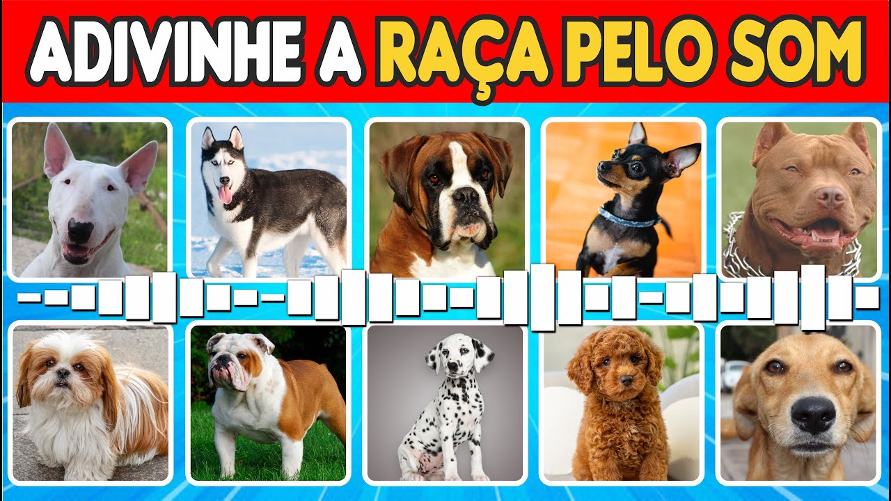 🐶Adivinhe Raça do Cachorro Pelo Som I Quiz de Animais🐾