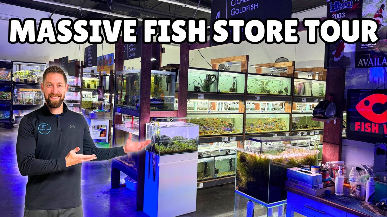 Is This California’s BEST Fish Store? 300+ Tanks & Massive Cichlid Selection!