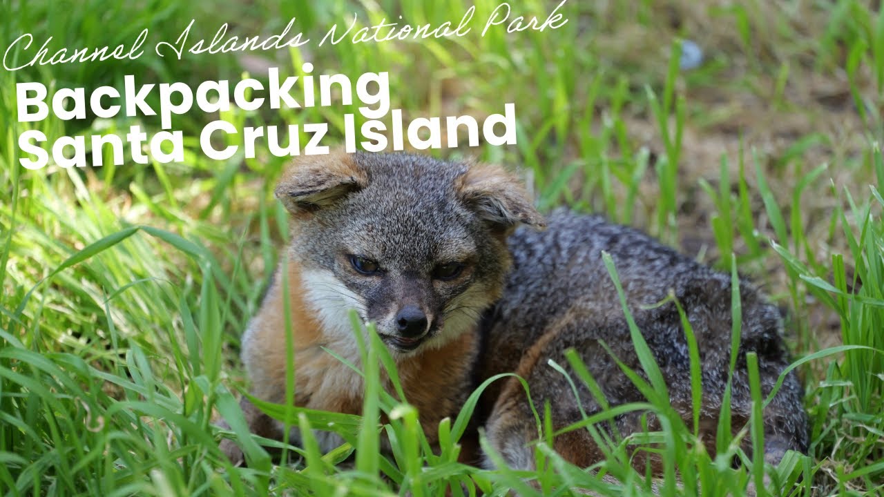 Channel Islands National Park: Santa Cruz Island Backpacking and Camping