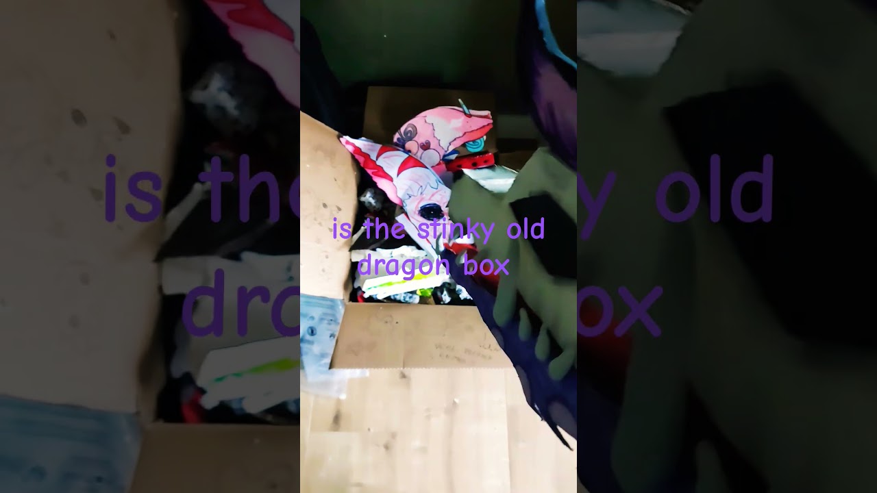 Two sides. #Dragonpuppet#Paperdragon#Fyp#Funy#Shorts