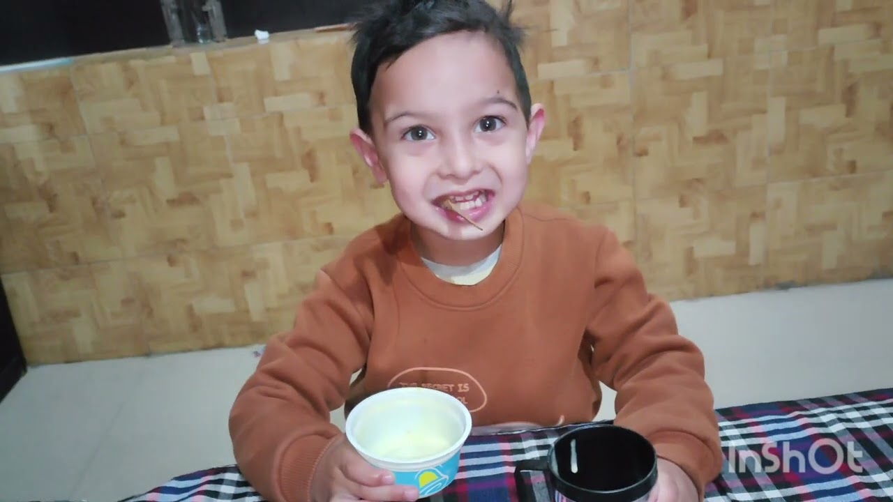 आखिर क्यों खानी पड़ी ठंड में icecream🍨#vlogindia #newvloger #newvlogers 