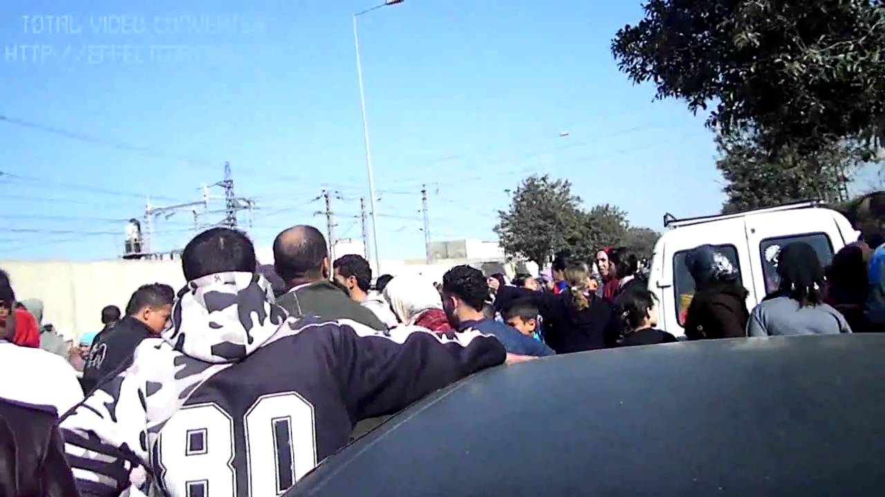 zaraba 2011
