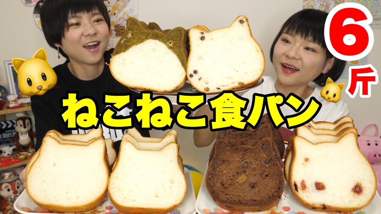 【大食い】とっても可愛い！ねこねこ食パン６斤を贅沢食べ！！【双子】
