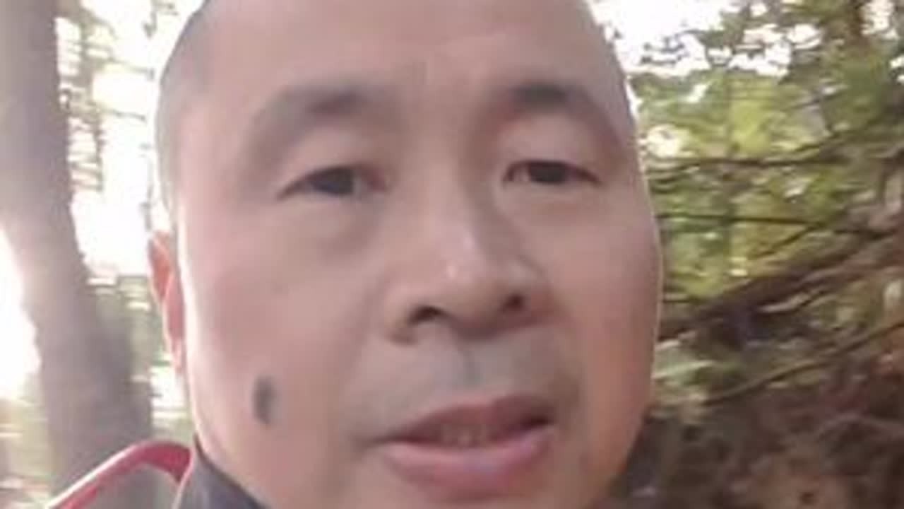 塄坑，位于黄山市歙县绍濂乡石耳村，坐落在距离石耳村一公里左右的山腰上，从这条山道可以直接到达石耳山，山上只有一座老房子，现在已经没有人居住。在老房子的边上有一棵桂花树，四十年前就被歙县林业局挂牌...