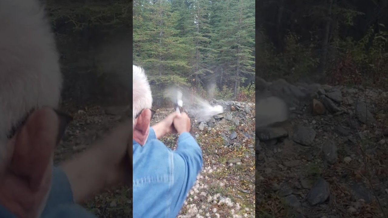 454 Casull или 500 S&W &mdash; сможет ли атакующий медведь заметить разницу?
