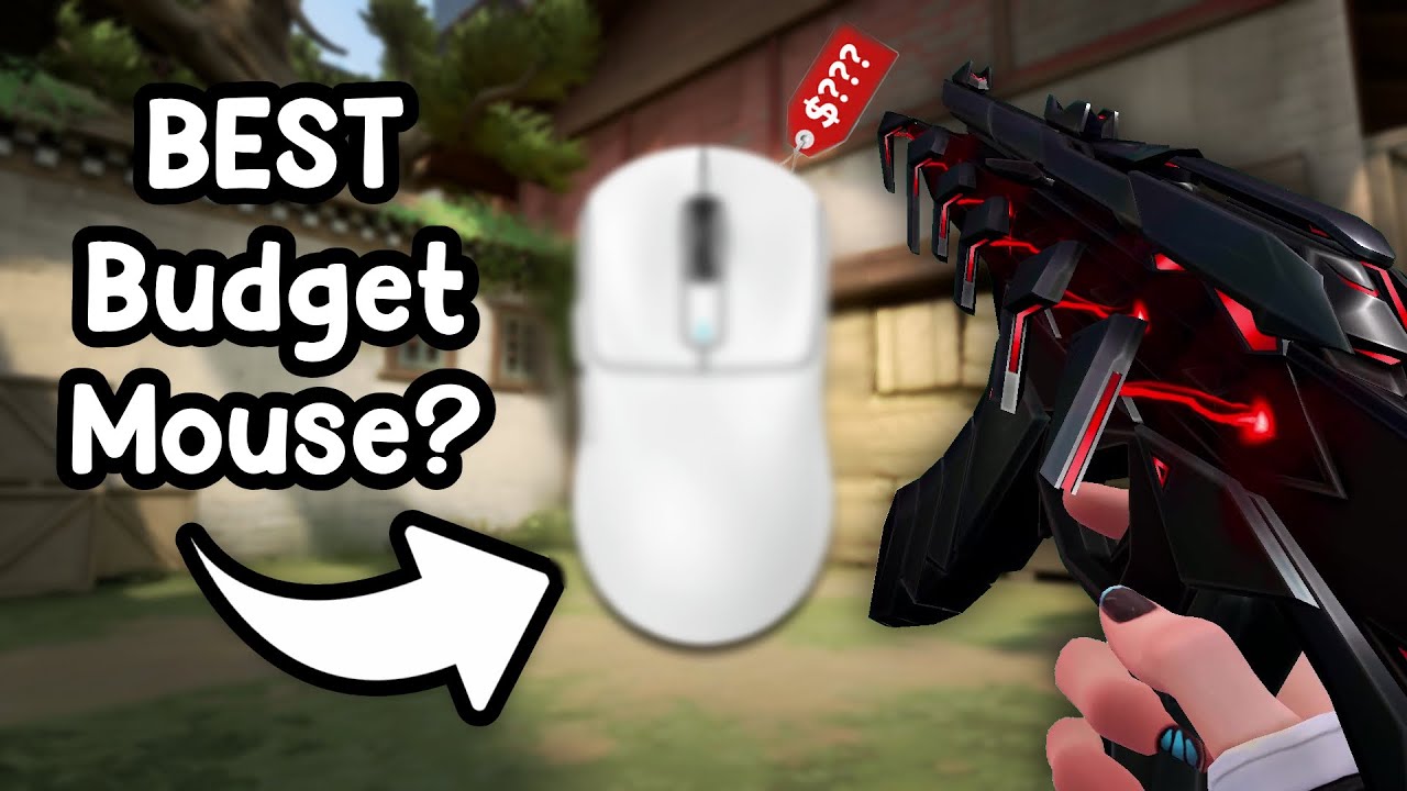 The Best Budget Mouse for Valorant