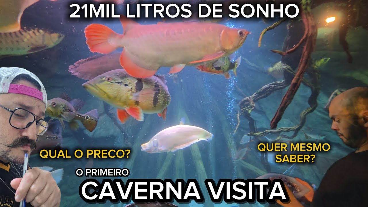 R$400.000,00? Aquatank do Bruno! O primeiro caverna visita! Você investiria no seu sonho?
