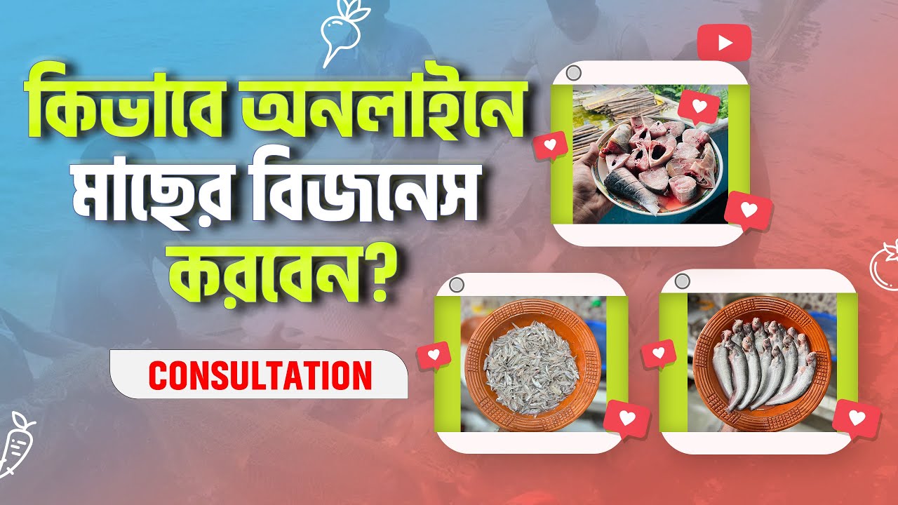 অনলাইনে মাছের বিজনেস করছেন | Fish Business | ডিজিটাল মার্কেটিং কনসালটেশন | SERP Thinker