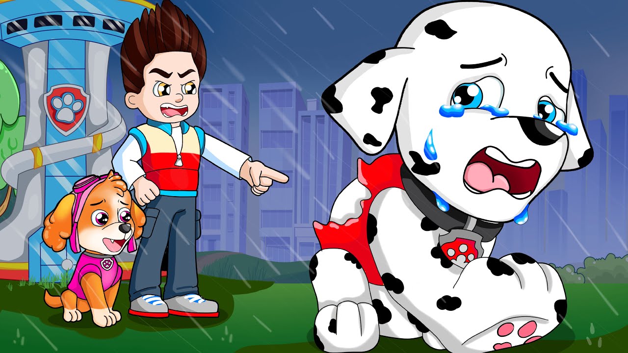 Marshall’s Big Mistake! Can He Rejoin the Team? | Paw Patrol Story Time