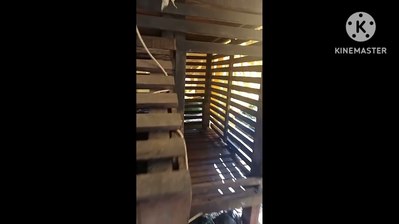 2000രൂപക്ക് ഒരു ആട്ടിൻകൂട്